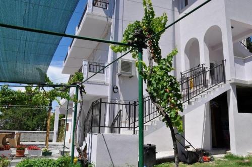 Apartments Maja — 4-Star Luxury Hotel in Lopar, Croatia