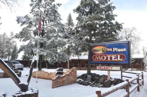 Nine Pines Motel - photo 13