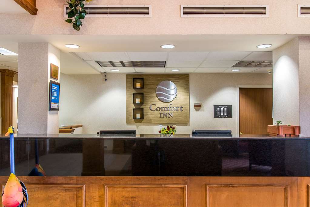 Comfort Inn Chelsea MI - photo 7