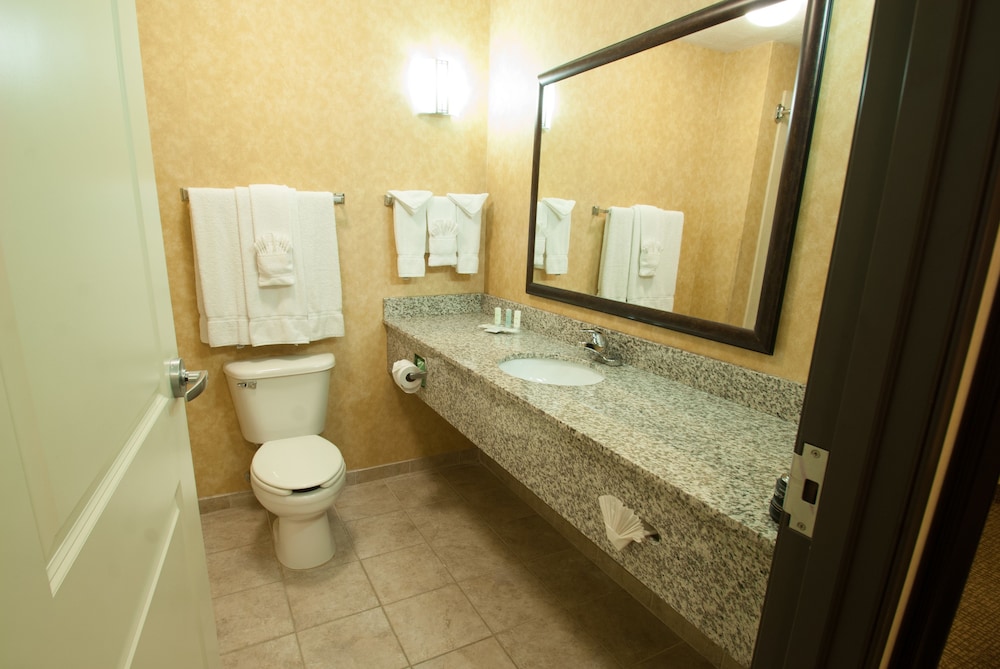 Comfort Suites Speedway Kansas City - photo 23