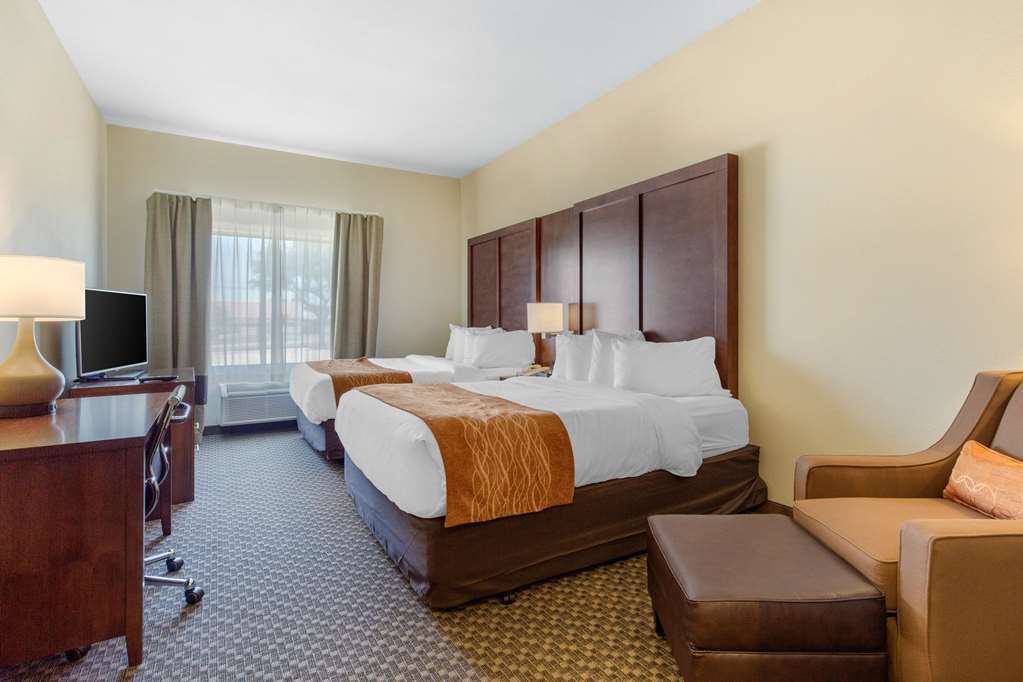 Comfort Inn & Suites SW Houston Sugarland - photo 8
