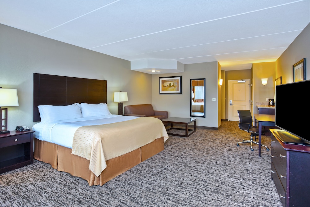 Holiday Inn & Suites Green Bay Stadium by IHG - photo 7
