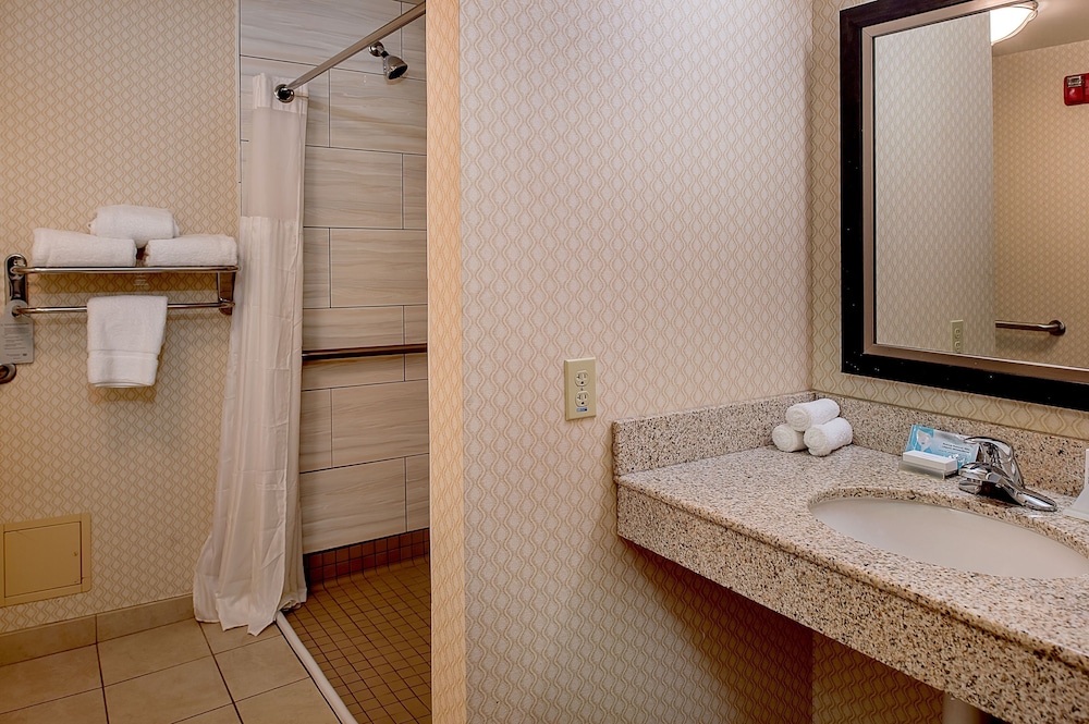 Hilton Garden Inn St. Louis Airport - photo 41