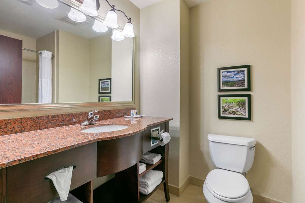 Comfort Suites Forrest City - photo 31