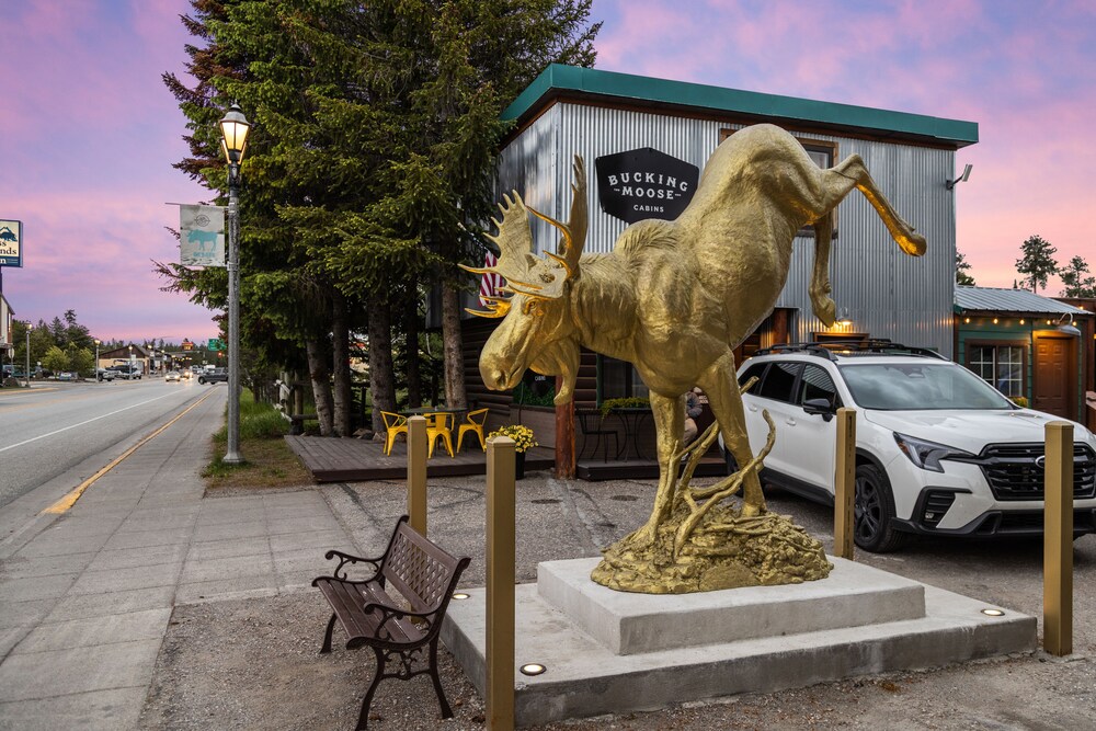 The Bucking Moose - photo 130