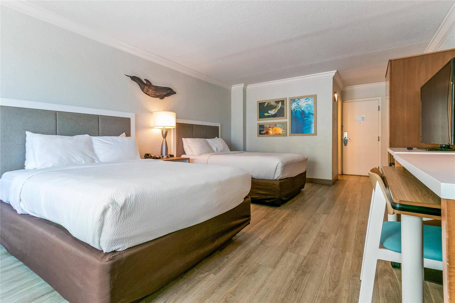 Dolphin Sands Clearwater Beach an Ascend Collection Hotel - photo 28