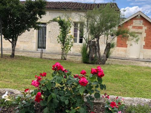 Chez Lysette - carbon neutral hotel in Unknown City