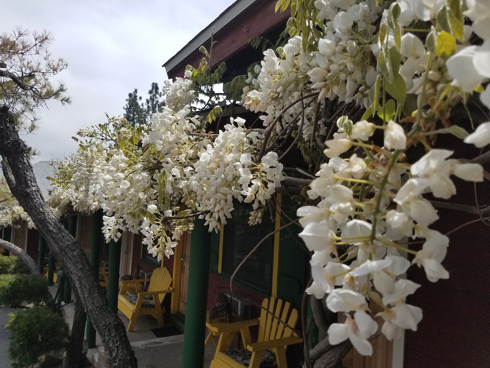 Idyllwild Bunkhouse - photo 45