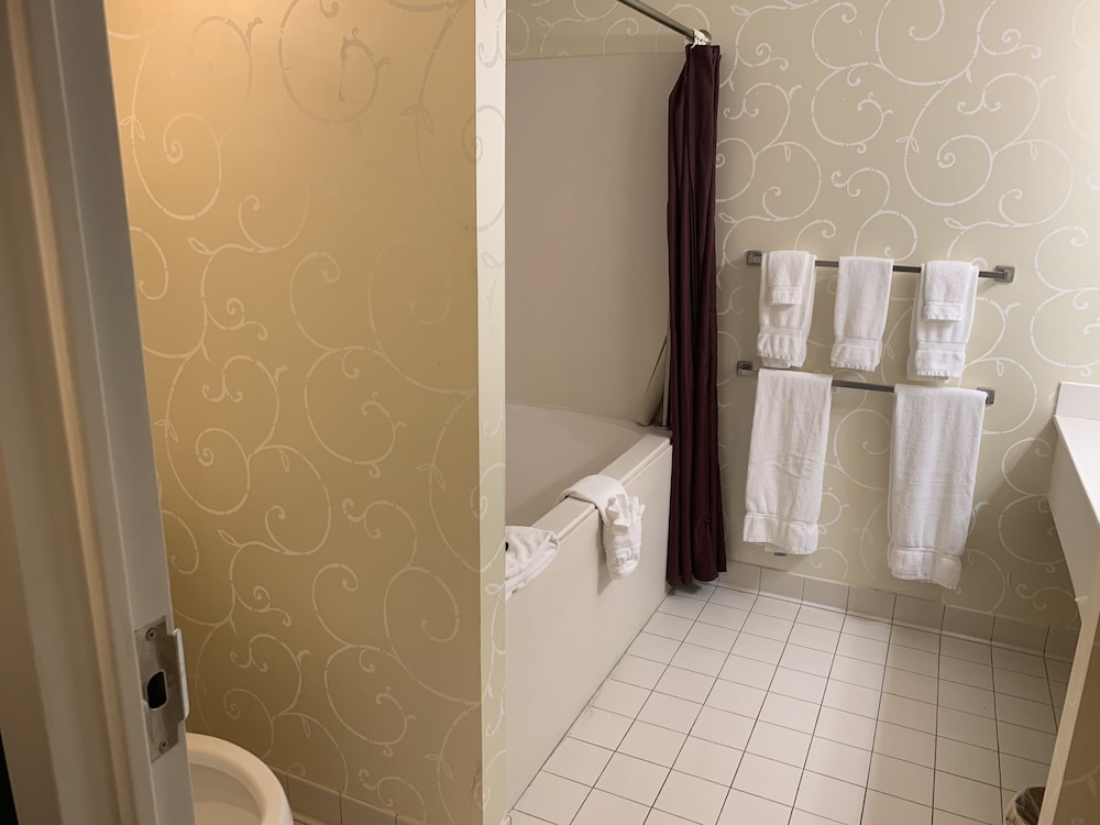 French Quarter Inn - photo 30