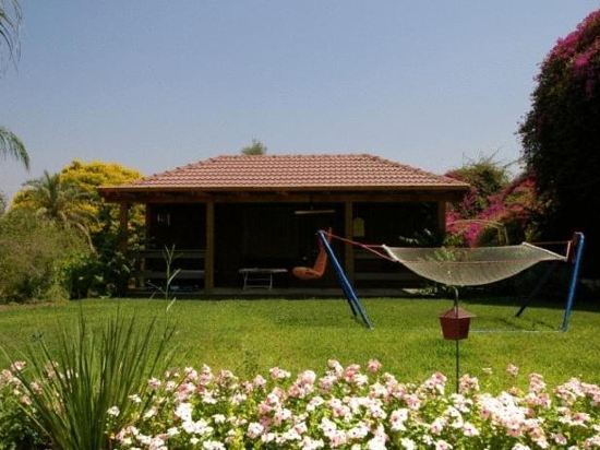 O live Briza Bakfar in Tiberias, Israel