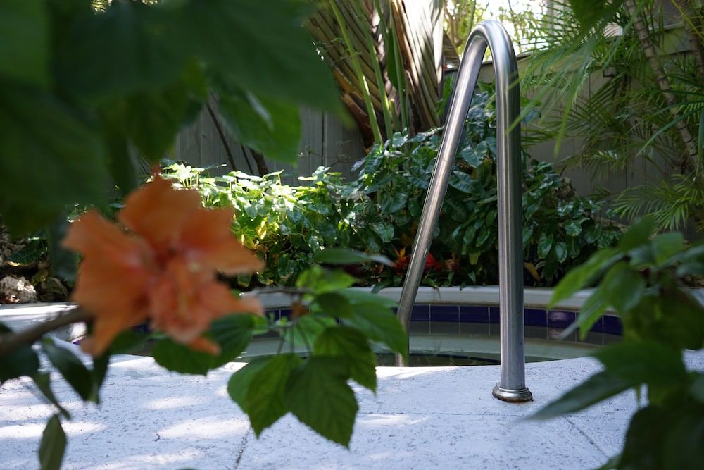 The Banyan Resort - photo 3
