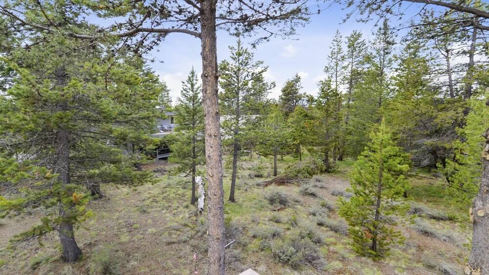 White Elm 28 Meredith Lodging - photo 25