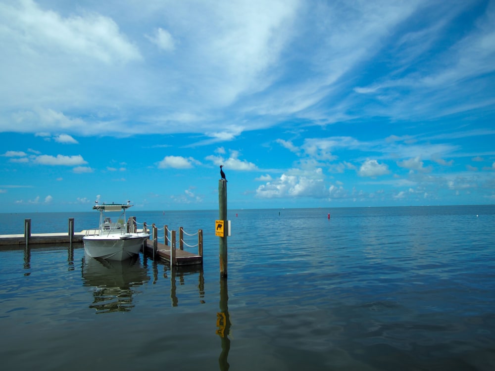 Ragged Edge Resort & Marina - photo 55