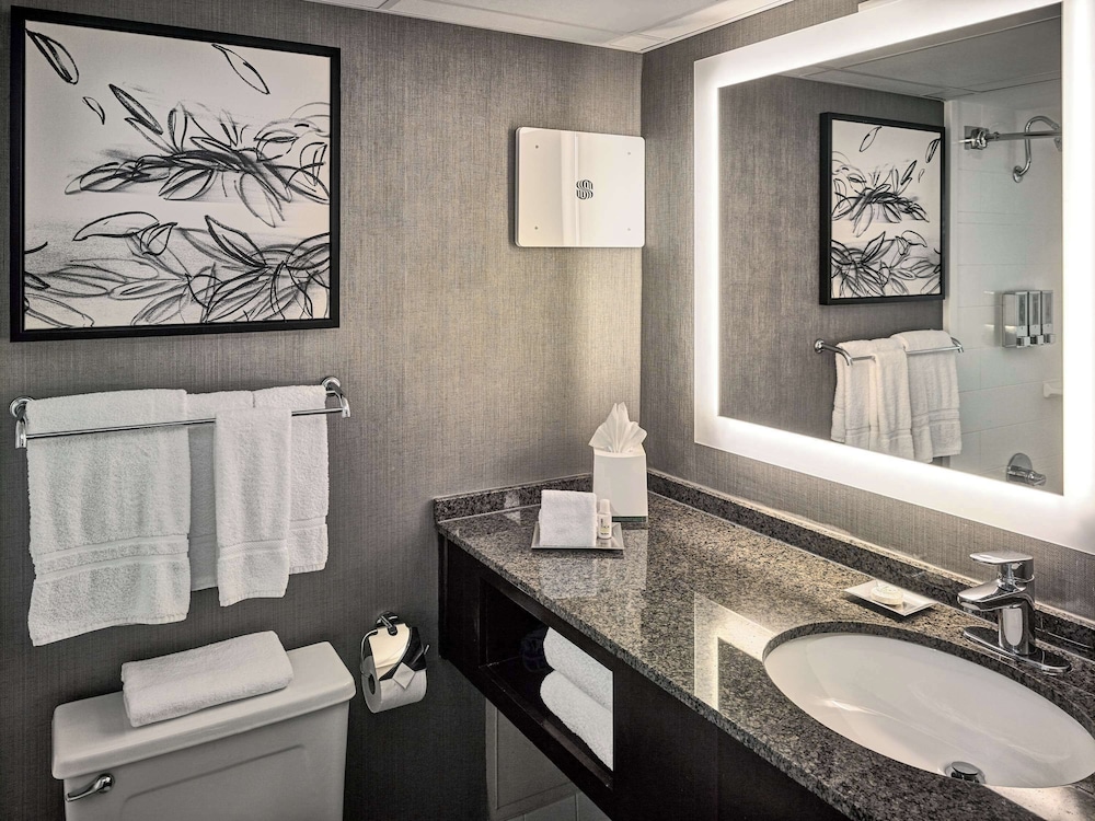 Sonesta Atlanta Northwest Galleria Marietta - photo 24