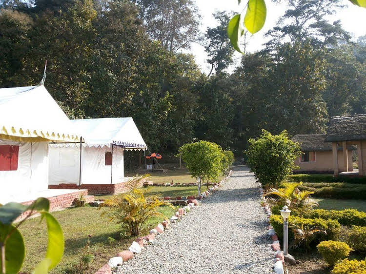 Jungle Eco Resort - last minute hotel in Ramnagar