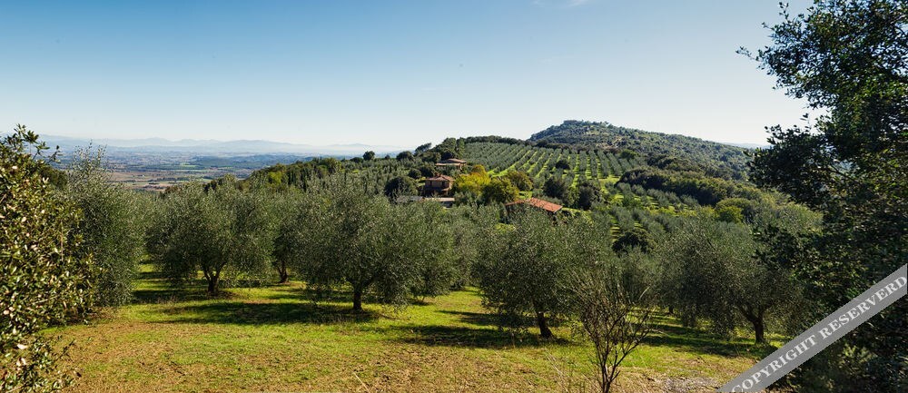 Country House Montali — 4-Star Luxury Hotel in Panicale, Italy