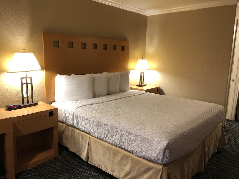 Lake Point Lodge - photo 5