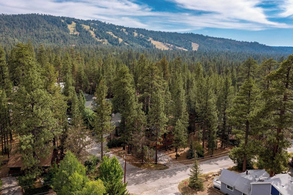 Avalon Pines by AvantStay 5 mins from Bear Mountain Ski Resort - photo 33