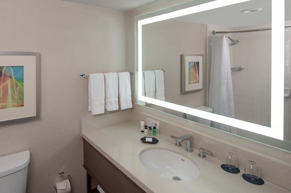 Sheraton Dallas Hotel by the Galleria - photo 16