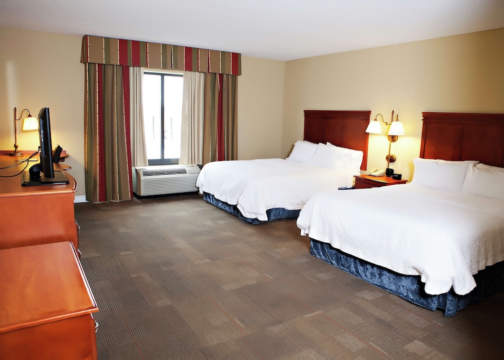 Hampton Inn Martin - photo 10