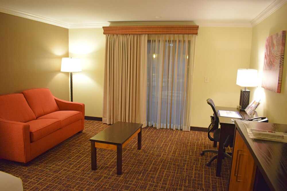 Best Western Wichita North Hotel and Suites - photo 11