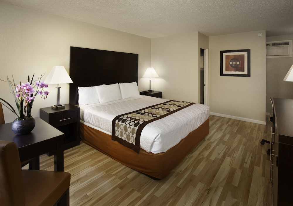 Thunderbird Lodge - photo 11
