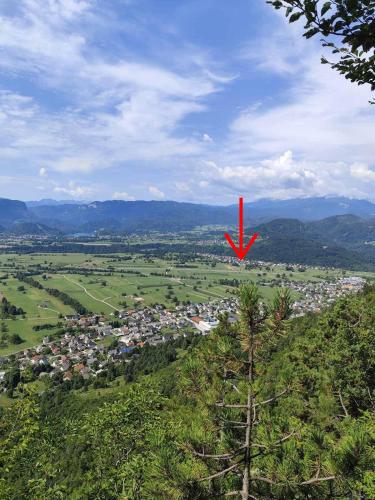 Apartma Neja 20162488 — Zirovnica