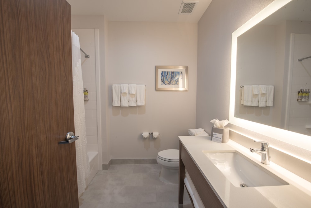 Holiday Inn Express and Suites Houston Westchase Westheimer by IHG - photo 51