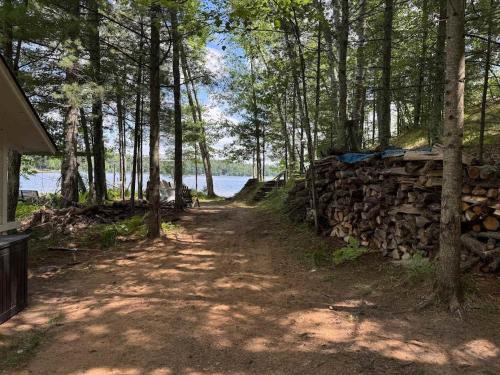 Brandy Bay Hideaway: Pet Friendly Retreat - photo 35