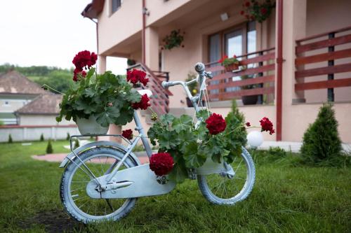 Muskatli Panzio Sic pet-friendly hotel Sic