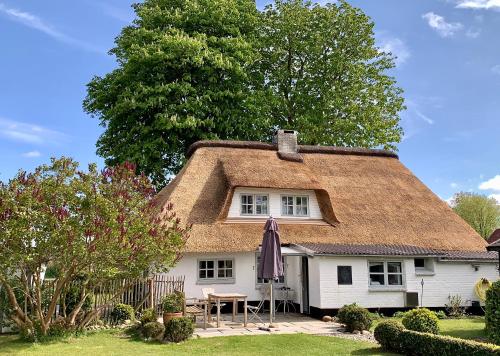 Ferienhaus Tade Bo — 4-Star Luxury Hotel in Suederstapel, Germany