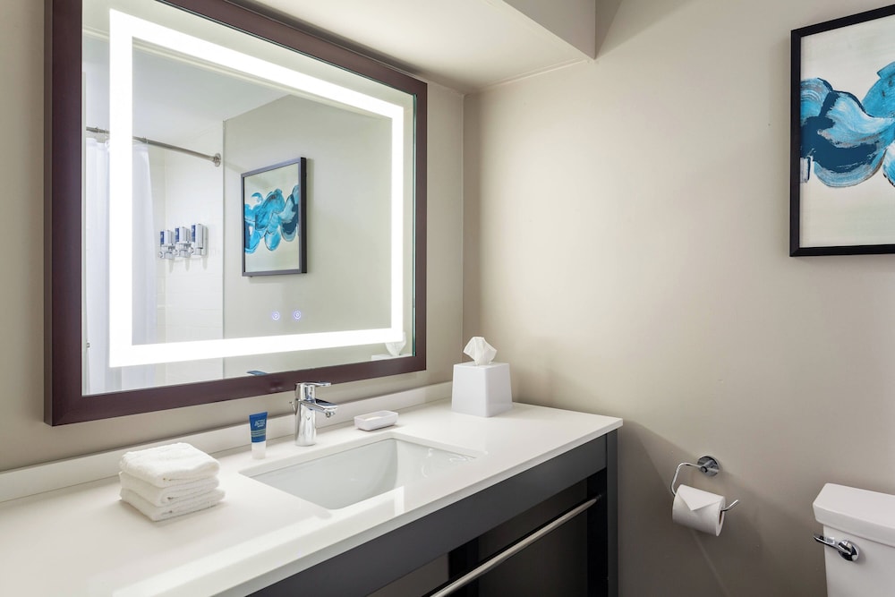 Four Points by Sheraton Orlando Convention Center - photo 13