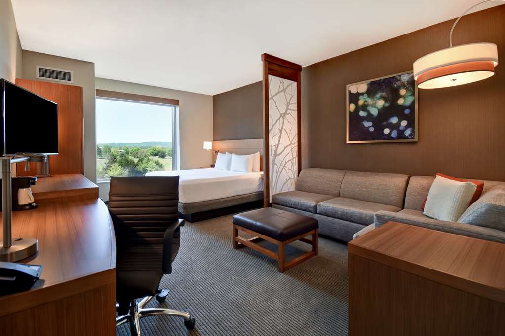 Hyatt Place Huntsville Research Park Redstone - photo 8