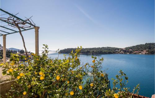Seaside Apartment M Zaton 6 SeaView and Parking