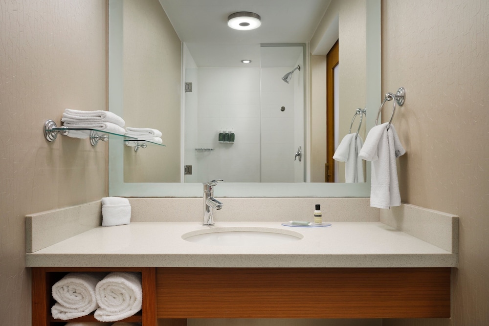 Springhill Suites by Marriott Pittsburgh Mt. Lebanon - photo 20