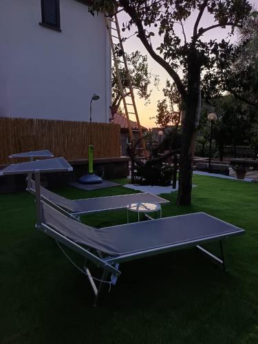 Rosetta Home — Meta — photo 3