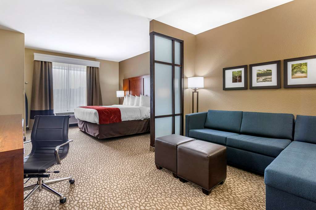 Comfort Suites Florence I 95 - photo 12