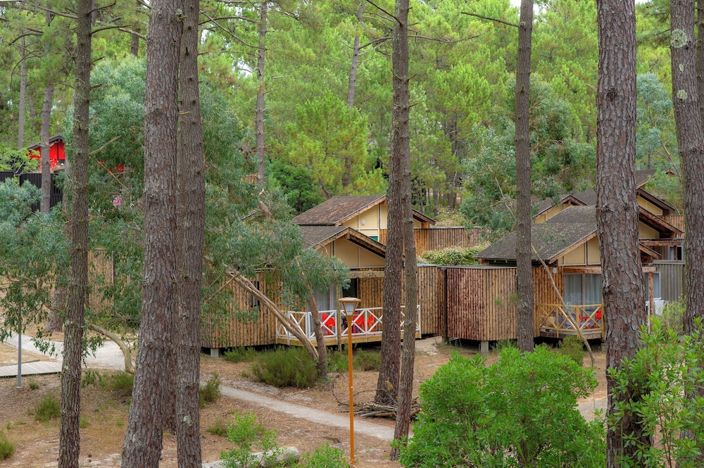 Les Oyats Sylvadoures in Carcans, France