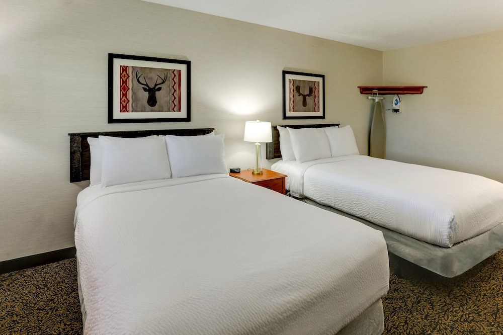 Stoney Creek Hotel Peoria - photo 7