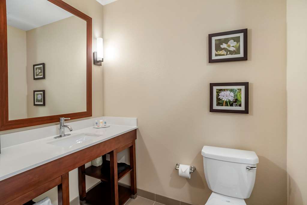 Comfort Inn & Suites Winchester - photo 11