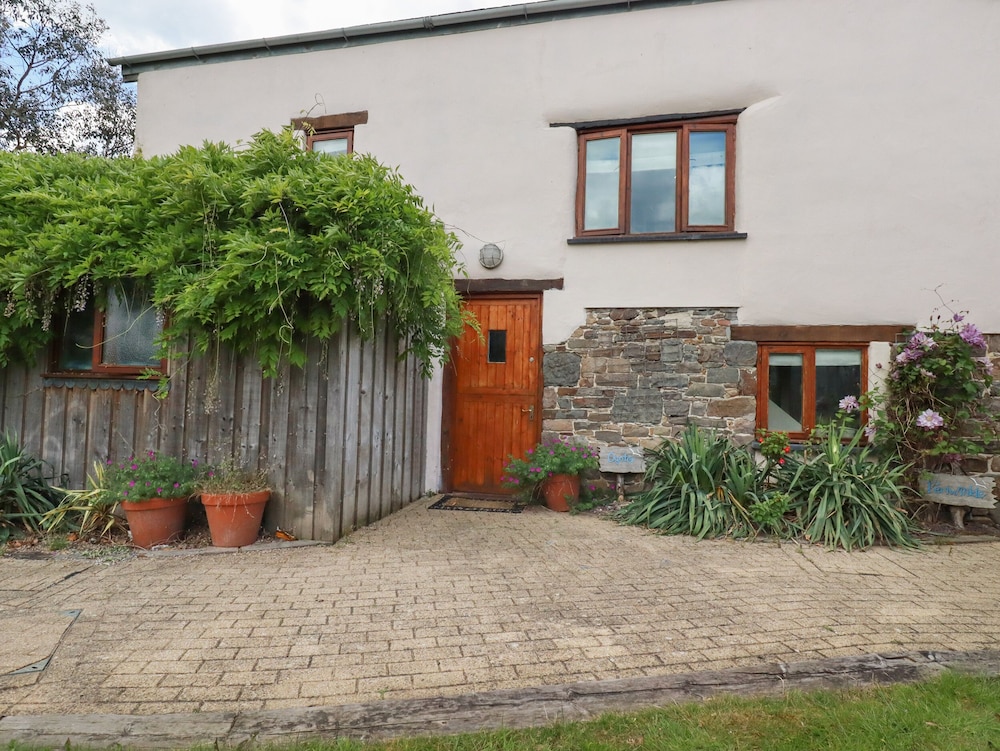 Oyster in Bude, United Kingdom