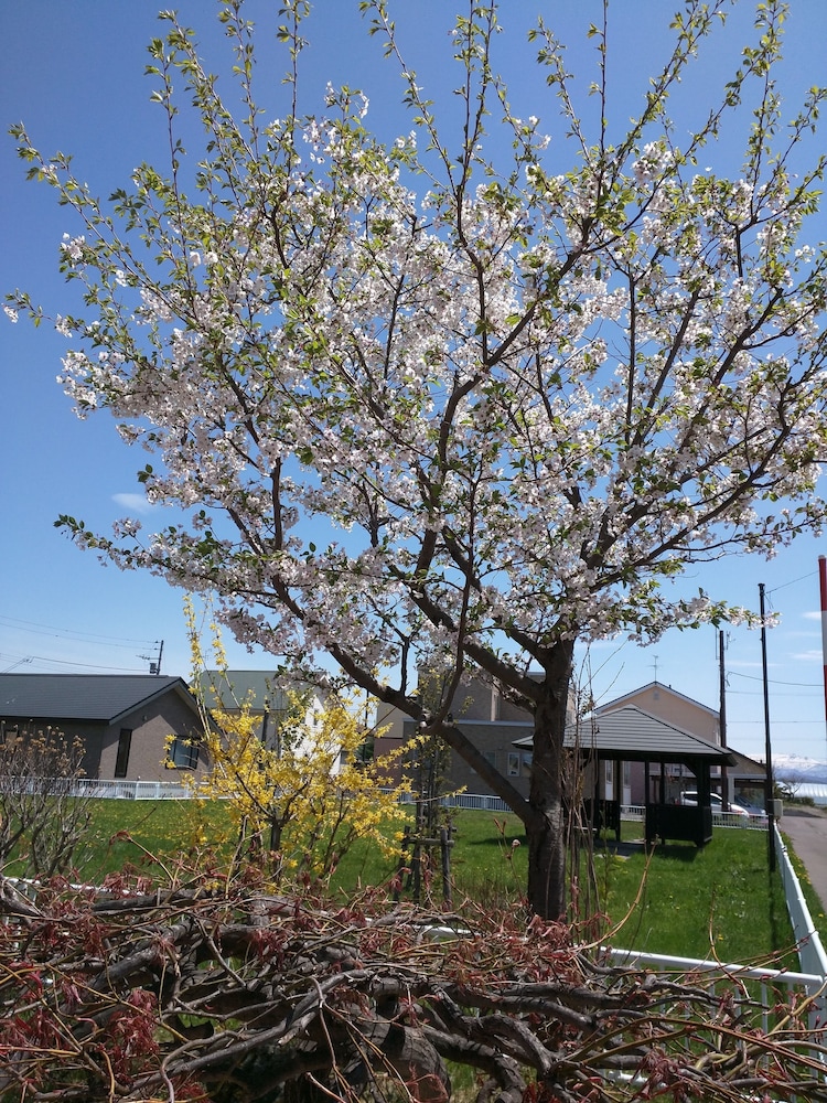 Sora One Stay & Yoga in Asahikawa, Japan