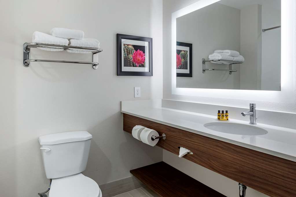 Best Western Plus Coachella Valley Inn & Suites - photo 23
