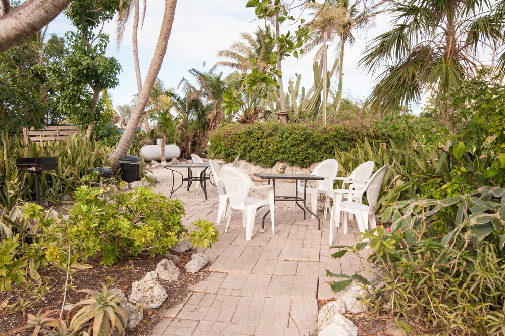 Blackfin Resort and Marina - photo 20