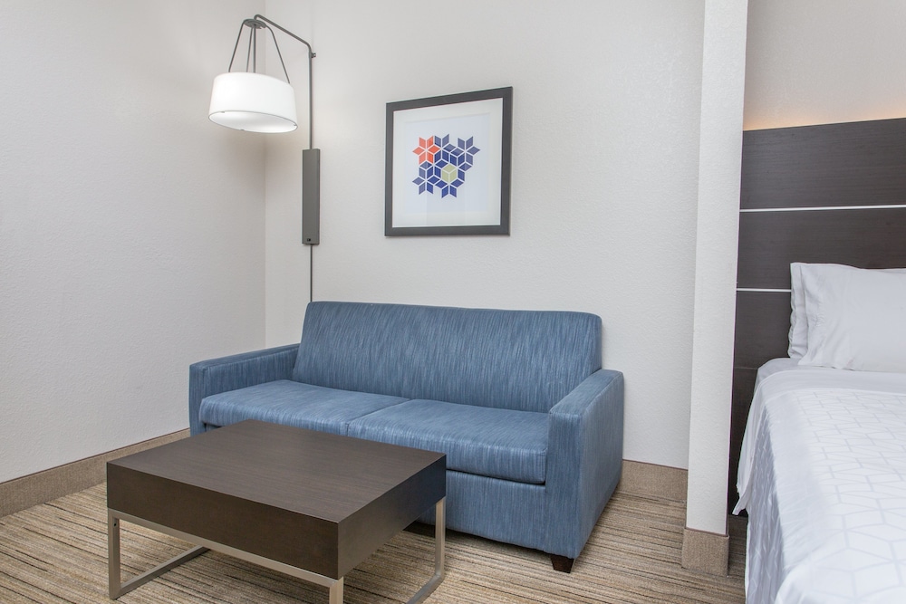 Holiday Inn Express Hotel & Suites Silver Springs Ocala by IHG - photo 14