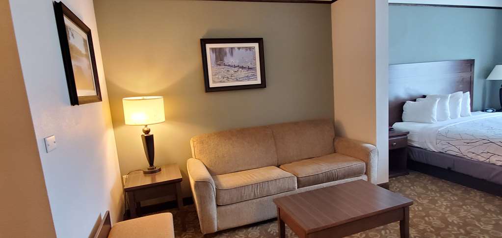 Best Western Plus Emory At Lake Fork Inn & Suites - photo 12