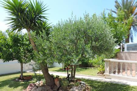 Homing Cambrils 23 — Cambrils — photo 4