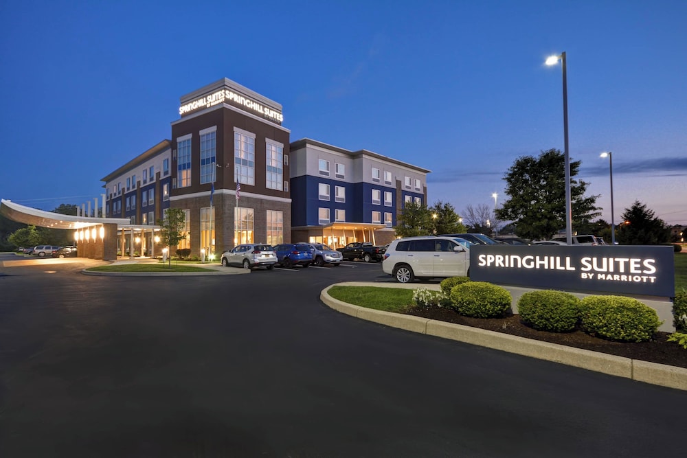 SpringHill Suites by Marriott Indianapolis Airport Plainfield - photo 39