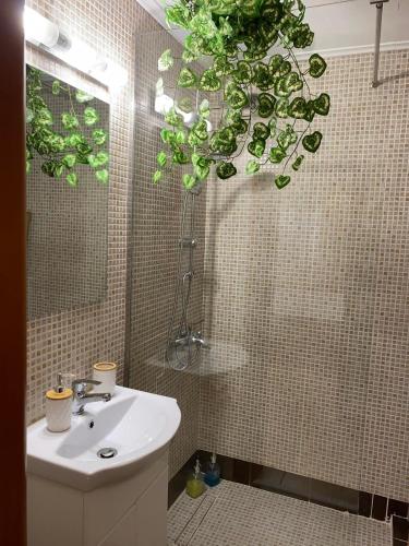 Garden View Apartment — 4-Star Luxury Hotel in Athens, Greece