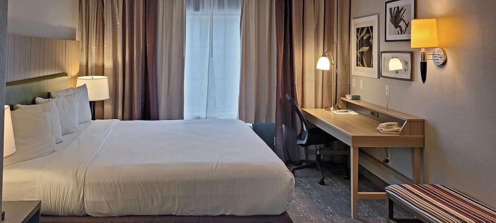 Country Inn & Suites by Radisson Canton GA - photo 13